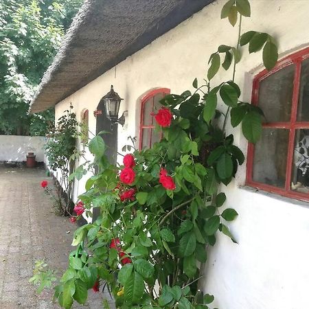 Hostel Gemuetliches Reetdachhaus Mit Kaminofen Ribe Exterior foto