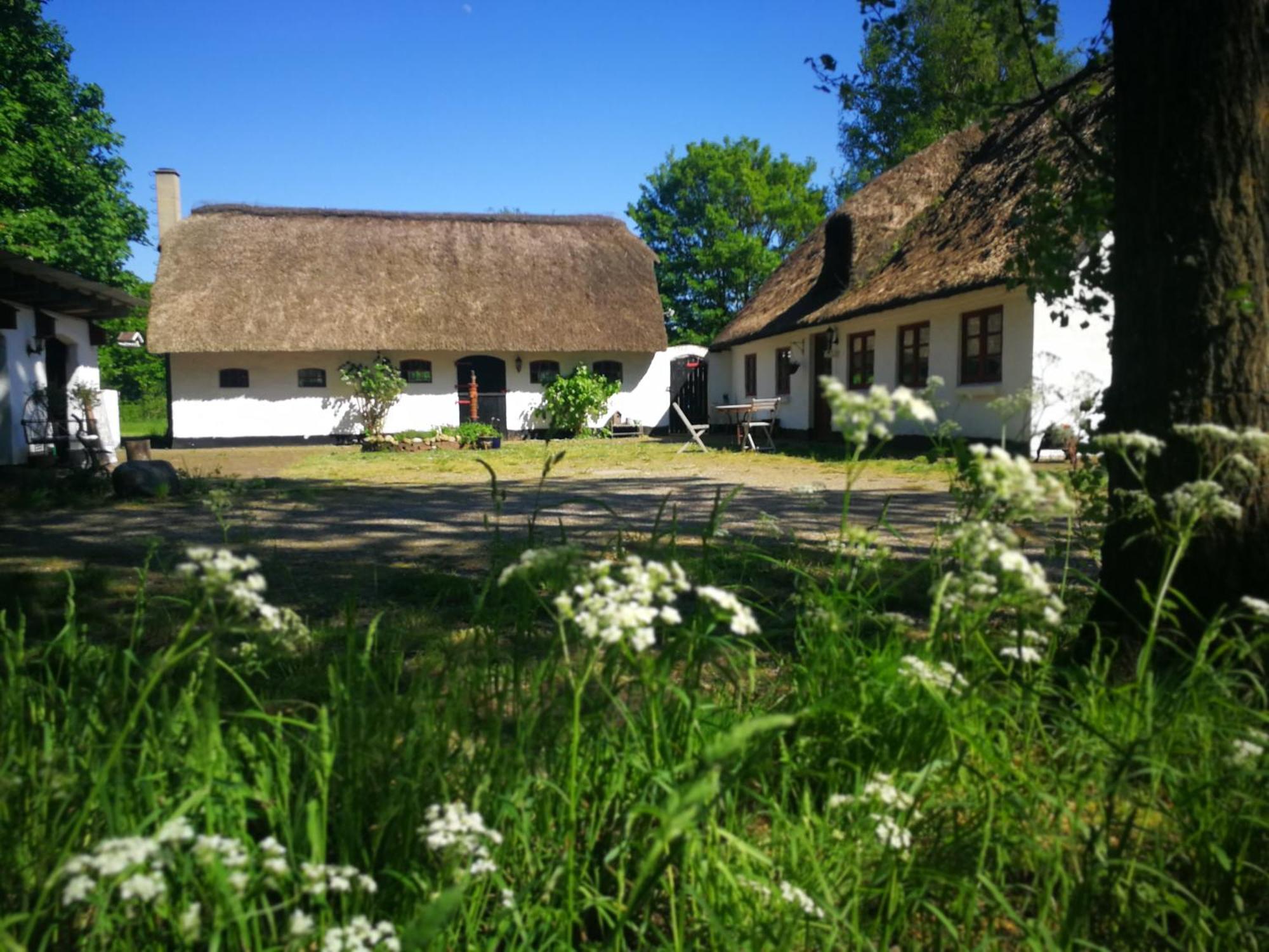 Hostel Gemuetliches Reetdachhaus Mit Kaminofen Ribe Exterior foto